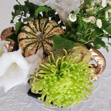 Das Kleine Hotel Iphofen, Fruehstueckszauber, No Waste, Nachhaltig, Nahe Aller Weingueter, Knauf Gips Kg Und Connekt, Kleines Secret Mit Garten & Terrassen, Tv Mirrorring, 55" Tv, Fine Dining, Hunde Willkommen ภายนอก รูปภาพ