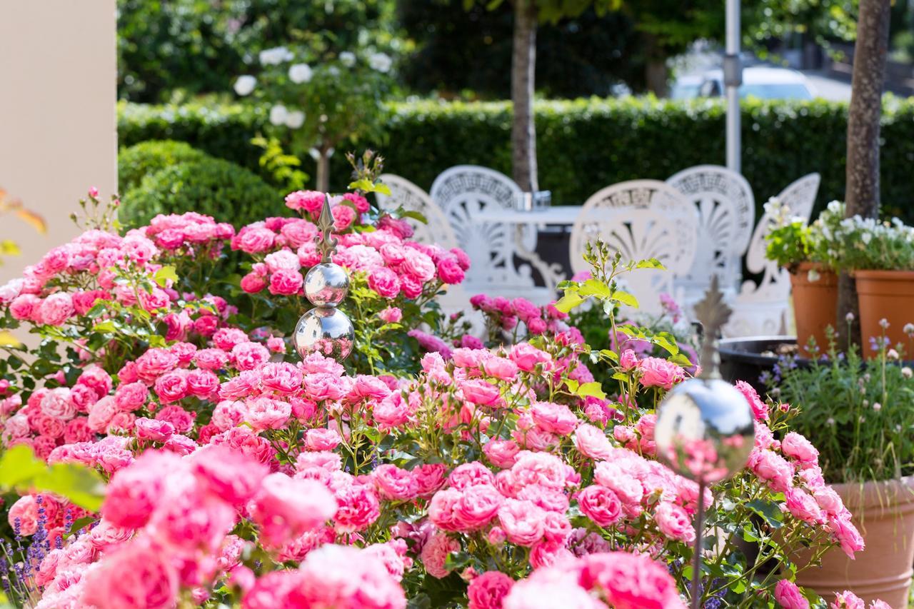 Das Kleine Hotel Iphofen, Fruehstueckszauber, No Waste, Nachhaltig, Nahe Aller Weingueter, Knauf Gips Kg Und Connekt, Kleines Secret Mit Garten & Terrassen, Tv Mirrorring, 55" Tv, Fine Dining, Hunde Willkommen ภายนอก รูปภาพ
