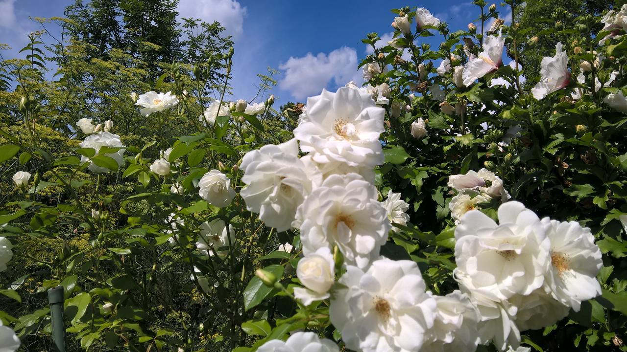 Das Kleine Hotel Iphofen, Fruehstueckszauber, No Waste, Nachhaltig, Nahe Aller Weingueter, Knauf Gips Kg Und Connekt, Kleines Secret Mit Garten & Terrassen, Tv Mirrorring, 55" Tv, Fine Dining, Hunde Willkommen ภายนอก รูปภาพ