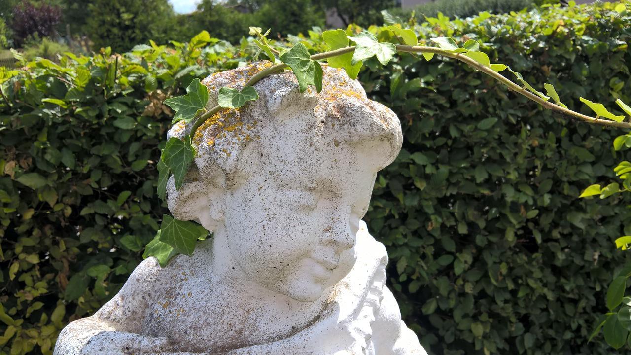 Das Kleine Hotel Iphofen, Fruehstueckszauber, No Waste, Nachhaltig, Nahe Aller Weingueter, Knauf Gips Kg Und Connekt, Kleines Secret Mit Garten & Terrassen, Tv Mirrorring, 55" Tv, Fine Dining, Hunde Willkommen ภายนอก รูปภาพ