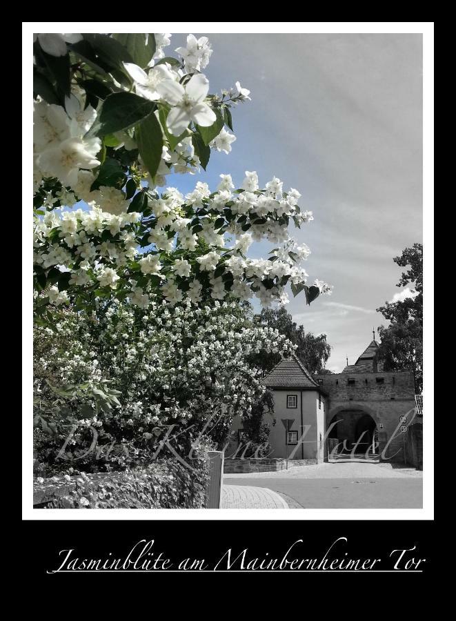 Das Kleine Hotel Iphofen, Fruehstueckszauber, No Waste, Nachhaltig, Nahe Aller Weingueter, Knauf Gips Kg Und Connekt, Kleines Secret Mit Garten & Terrassen, Tv Mirrorring, 55" Tv, Fine Dining, Hunde Willkommen ภายนอก รูปภาพ